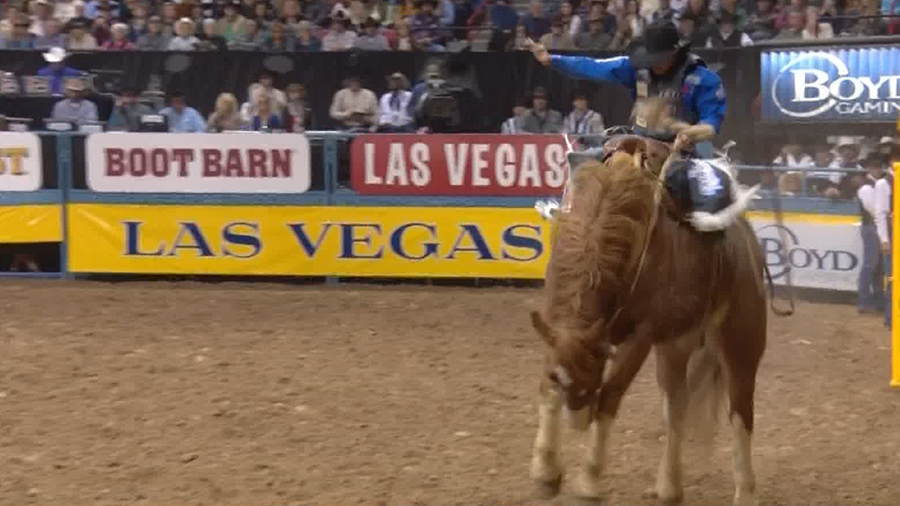 Lake Point Utah Rodeo Utahns Showing Out At National Finals Rodeo - KSL Sports