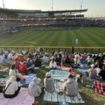 Salt Lake Bees Introduce Alternate Identity For 2026